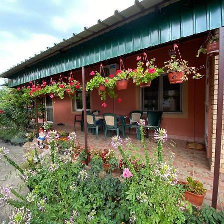Sud ,,Antal I Olga,, Bed and Breakfast Skorenovac Exterior foto