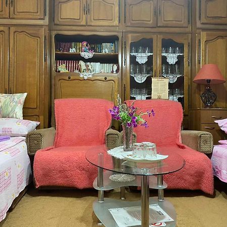Sud ,,Antal I Olga,, Bed and Breakfast Skorenovac Habitación foto