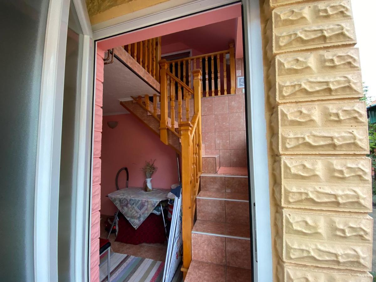 Sud ,,Antal I Olga,, Bed and Breakfast Skorenovac Exterior foto