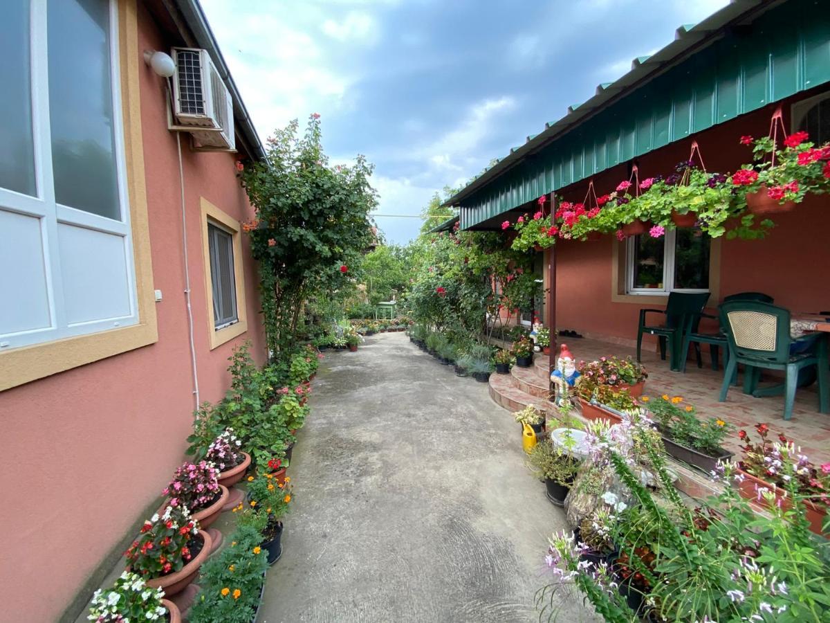 Sud ,,Antal I Olga,, Bed and Breakfast Skorenovac Exterior foto