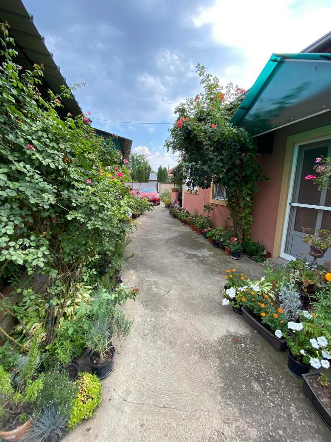 Sud ,,Antal I Olga,, Bed and Breakfast Skorenovac Exterior foto