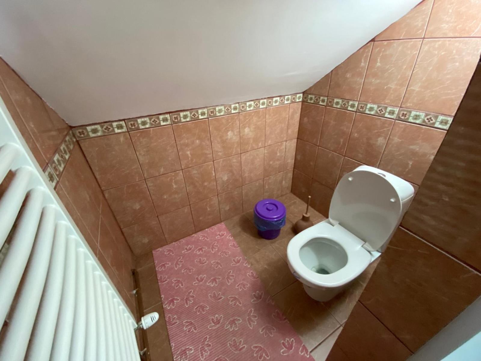 Sud ,,Antal I Olga,, Bed and Breakfast Skorenovac Habitación foto