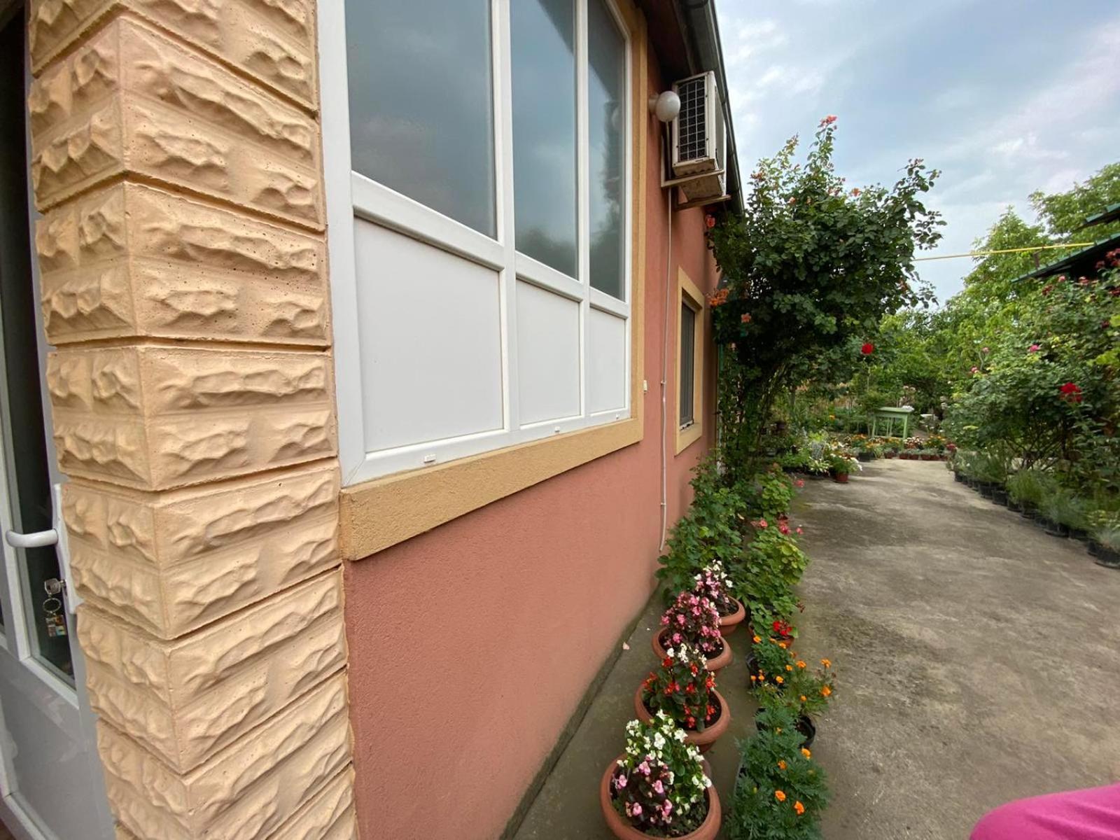Sud ,,Antal I Olga,, Bed and Breakfast Skorenovac Habitación foto